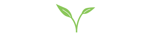 Healthy Business Training Academy